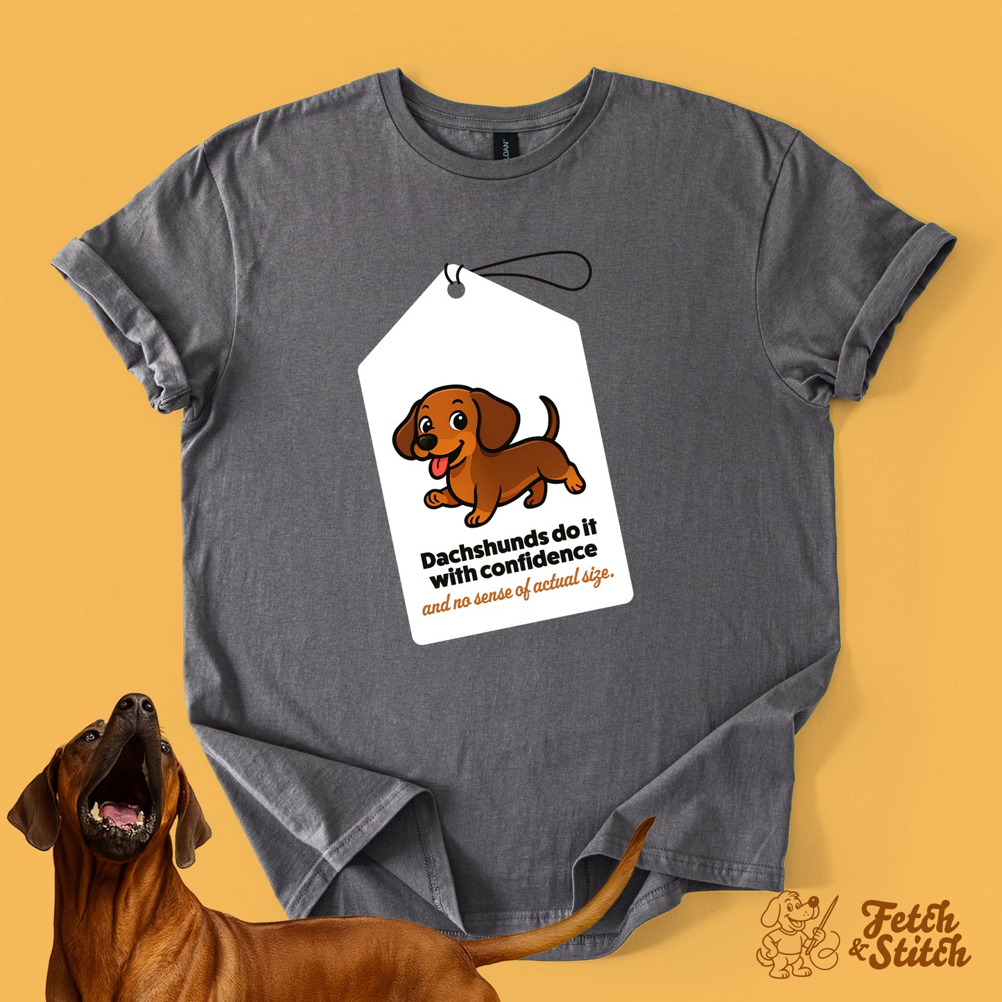 Dachshund Tag