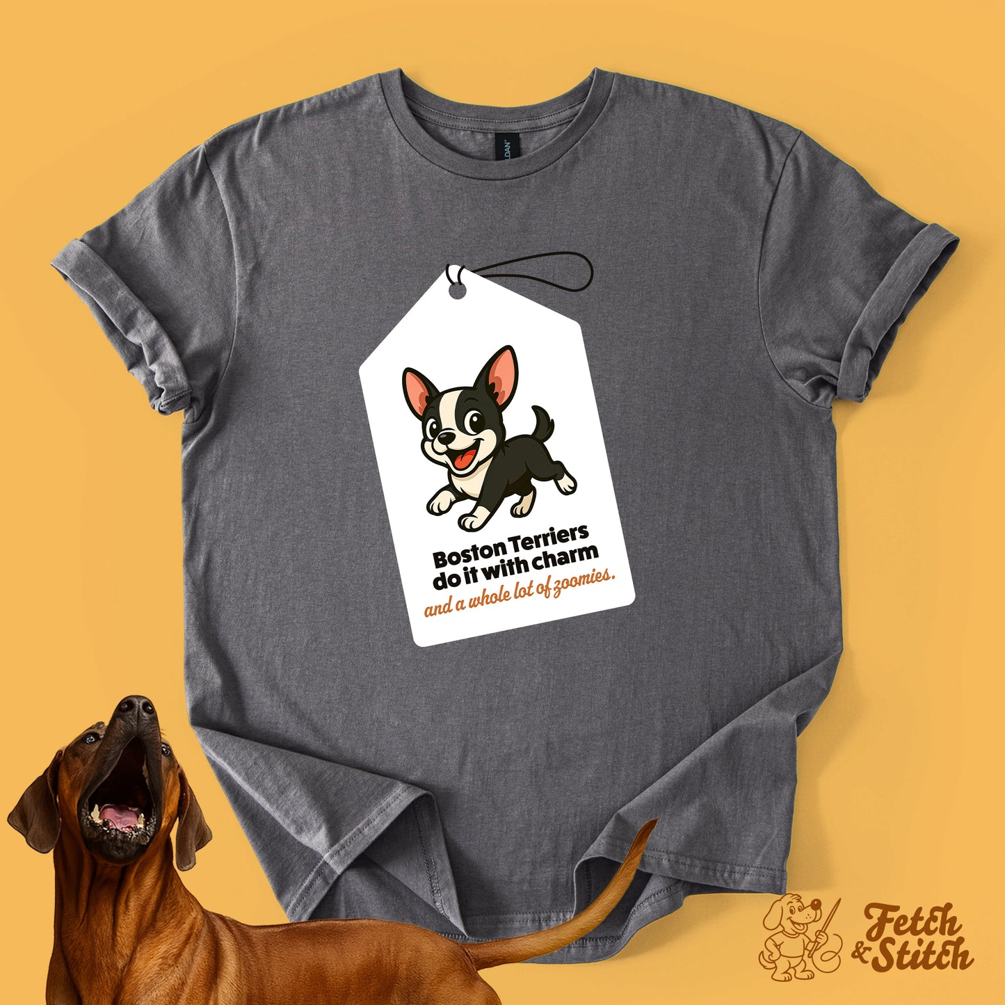 Boston Terrier Tag