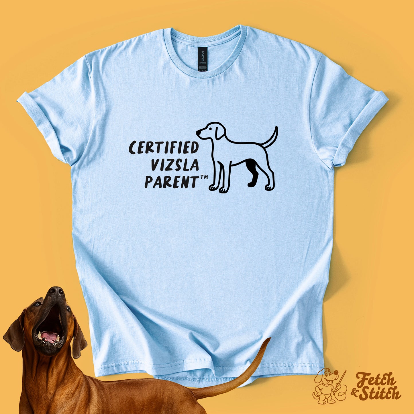 Certified Vizsla Parent