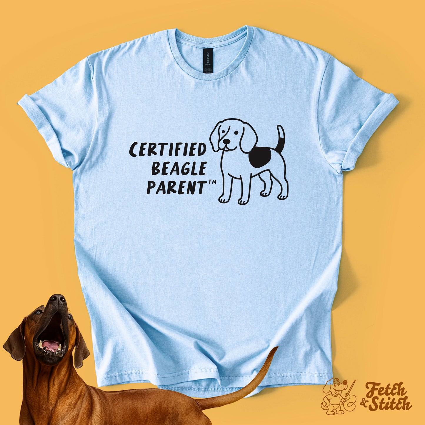 Certified Beagle Parent