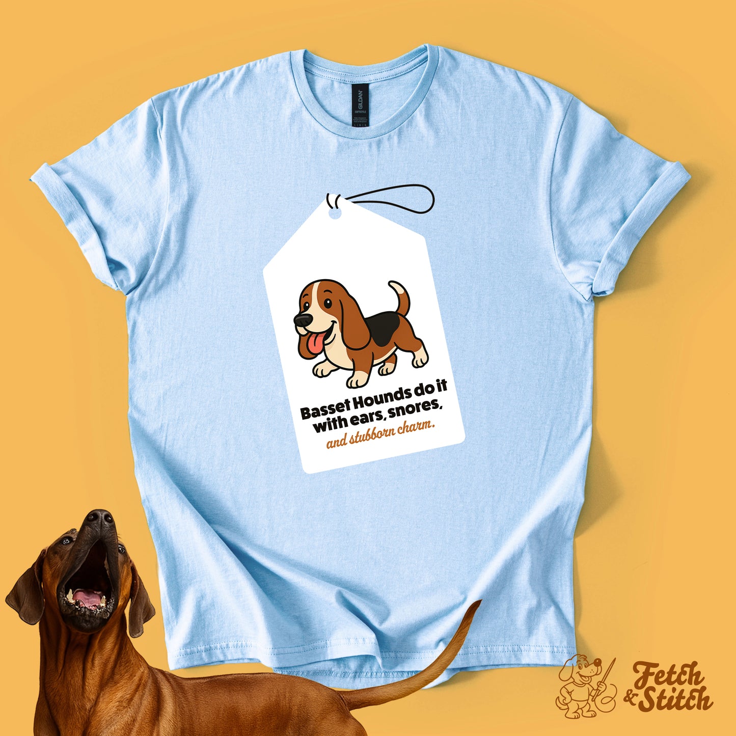 Basset Hound Tag