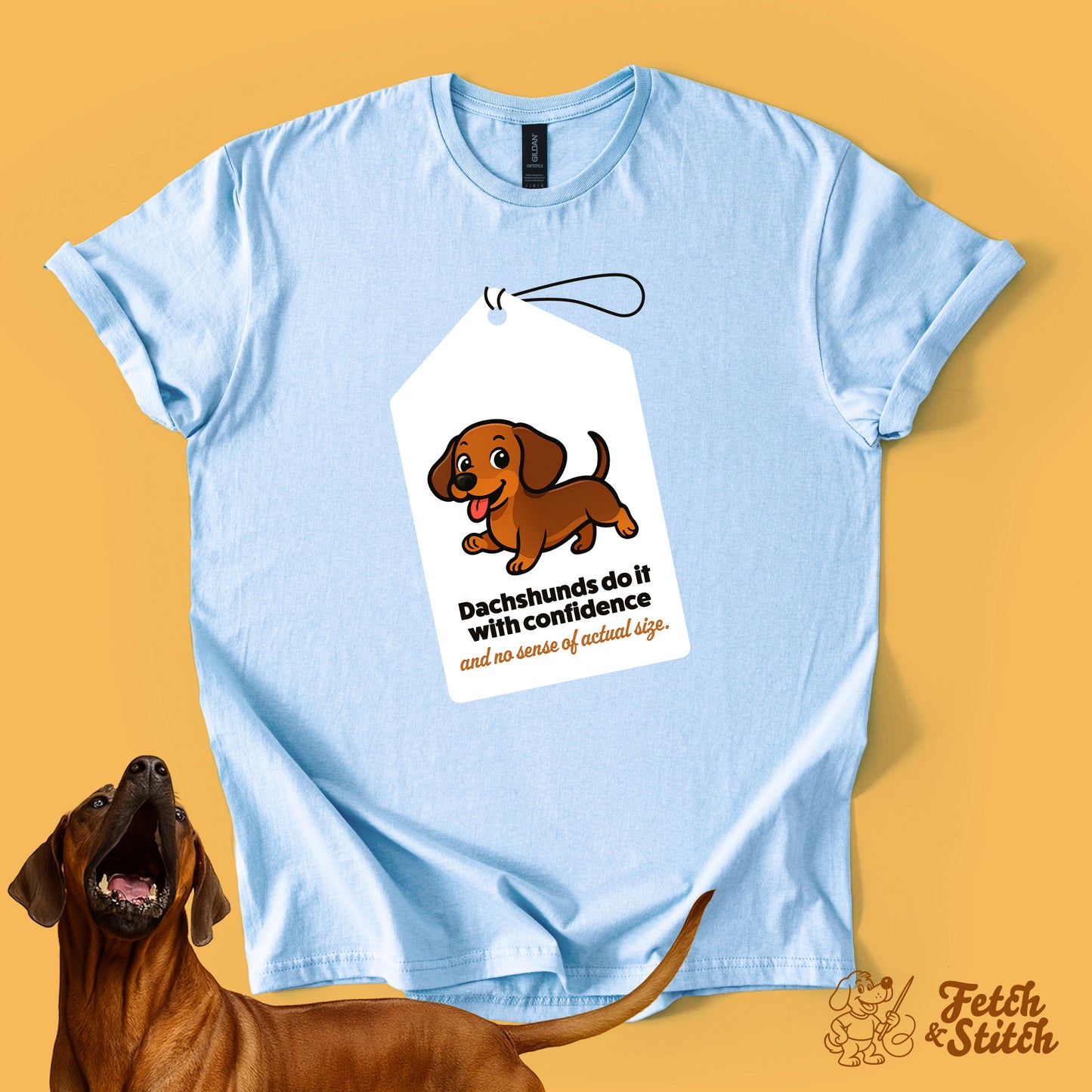 Dachshund Tag