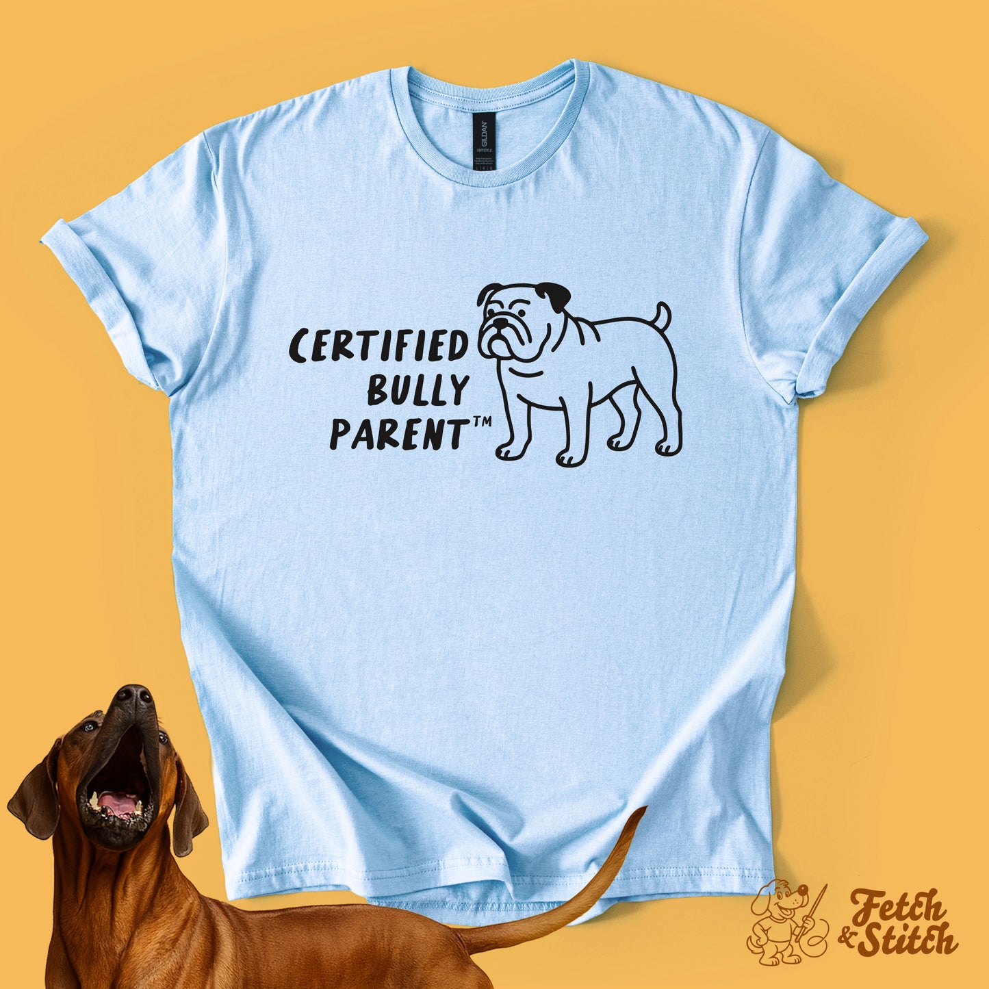 Certified Bully Parent