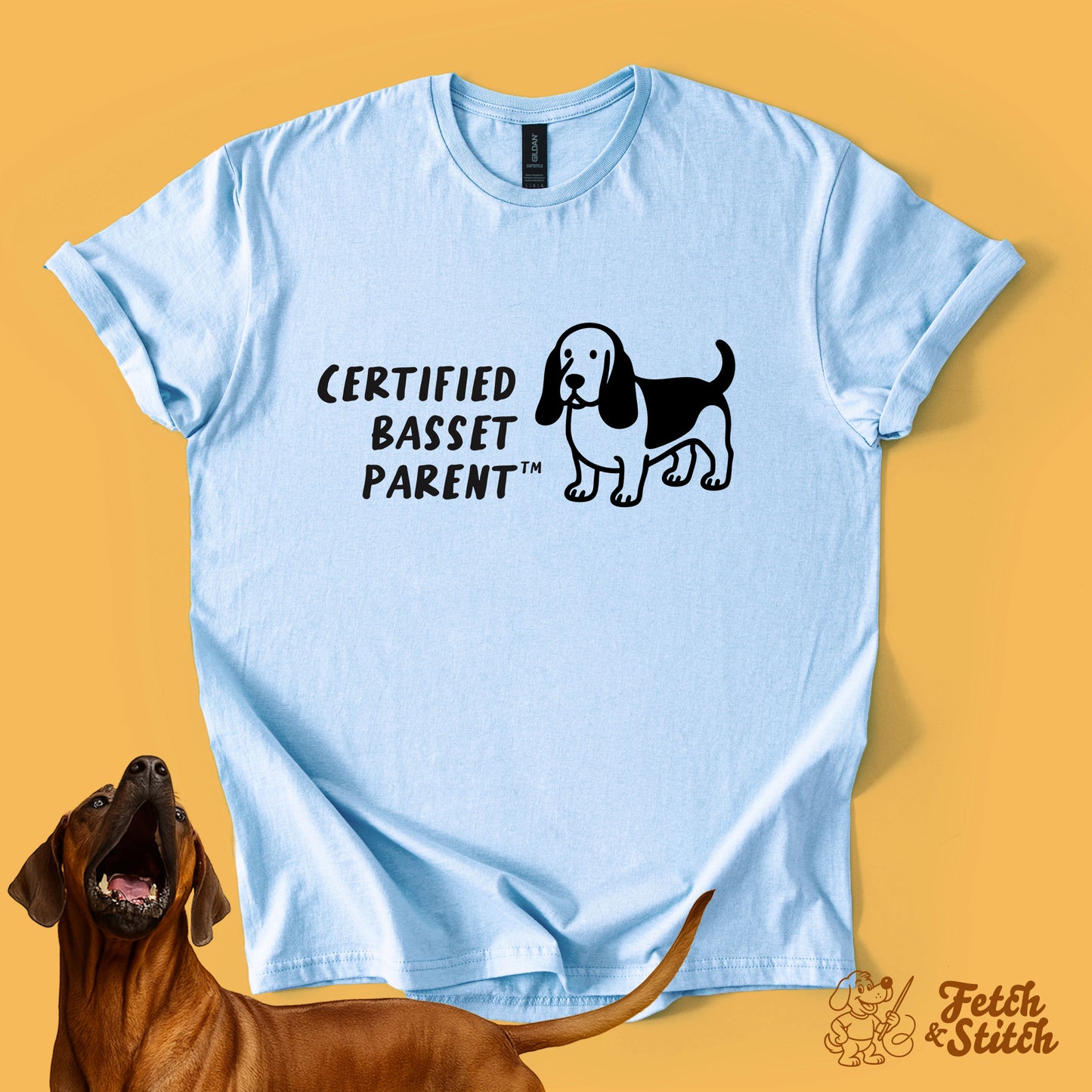 Certified Basset Parent