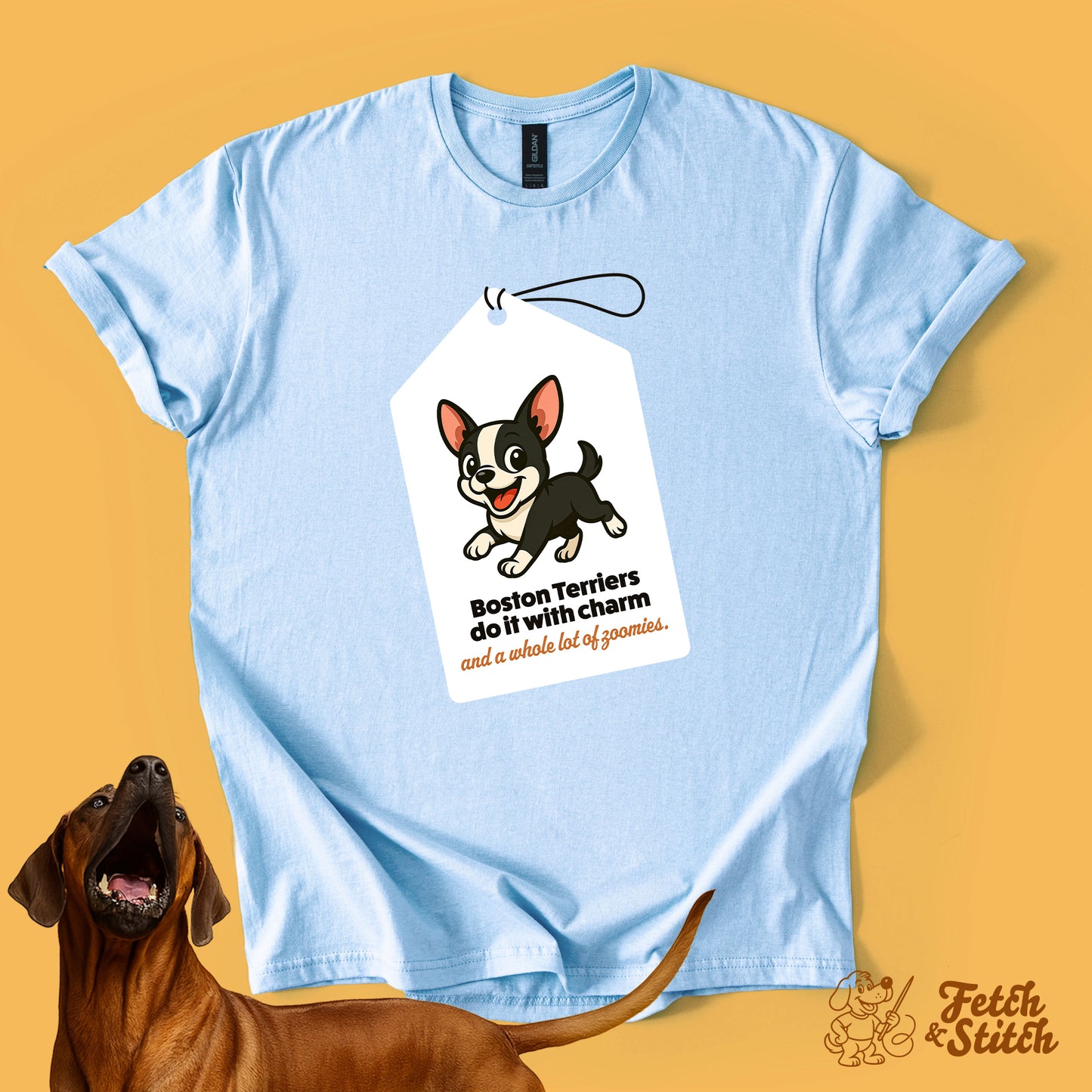 Boston Terrier Tag