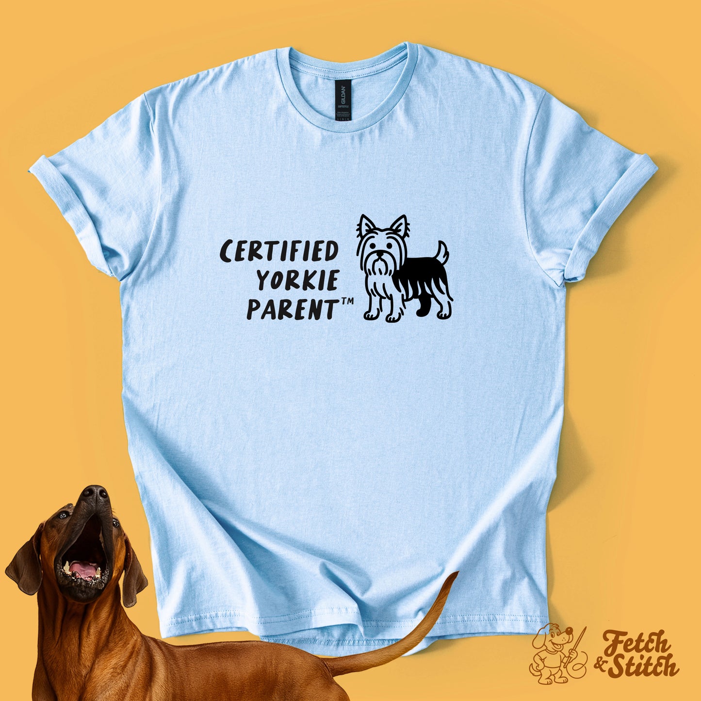 Certified Yorkie Parent