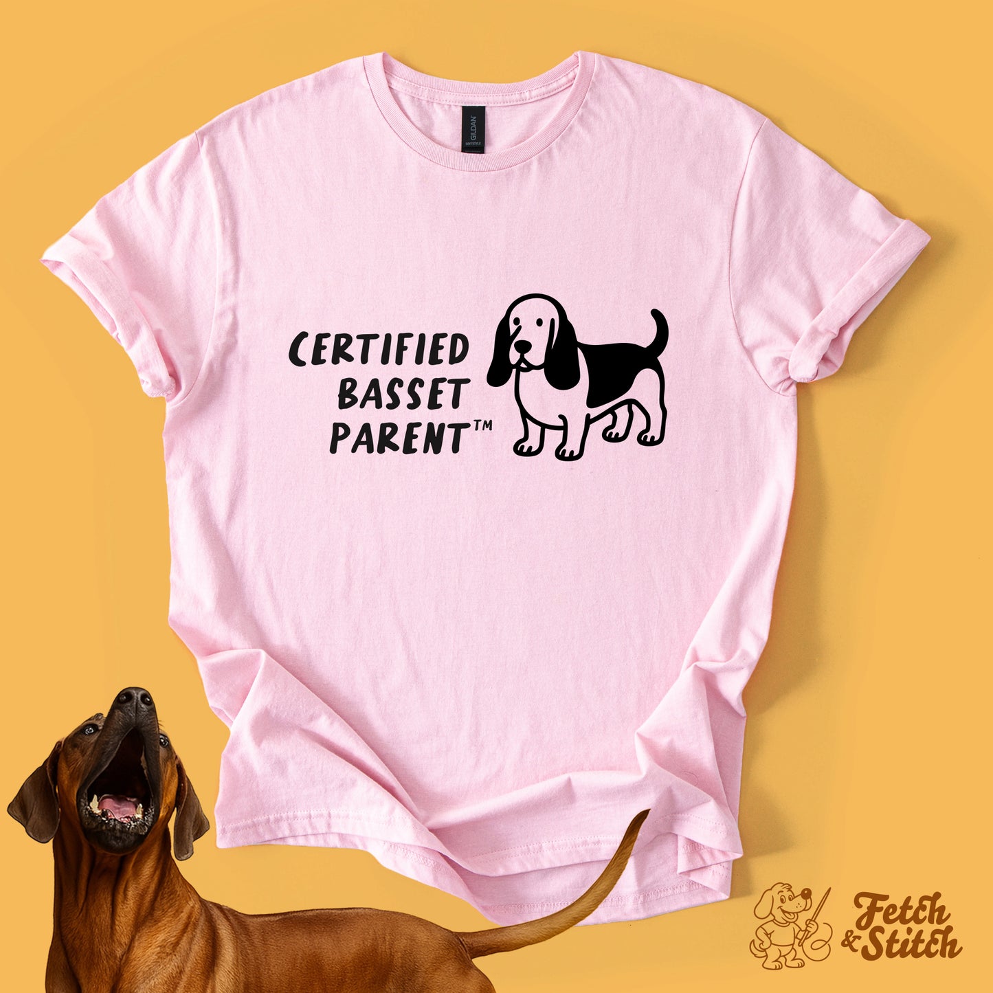 Certified Basset Parent