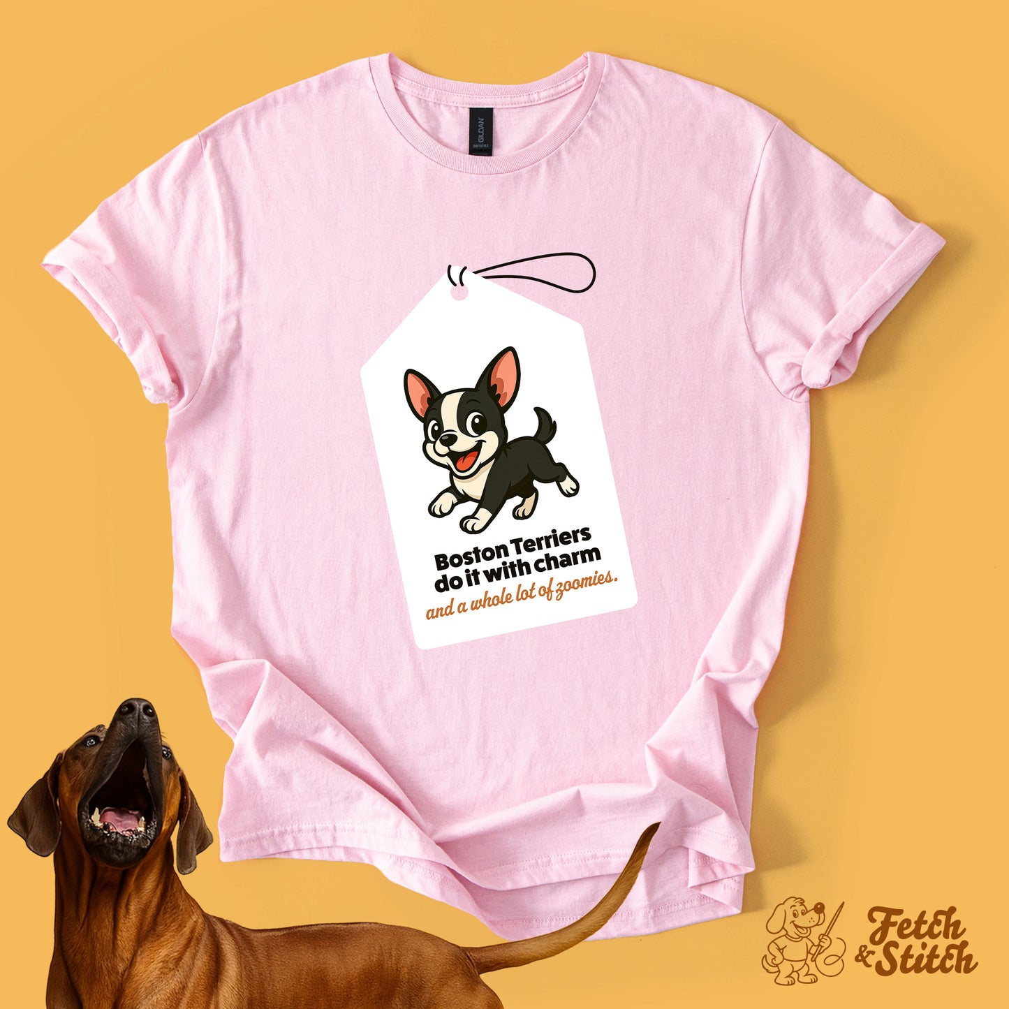 Boston Terrier Tag