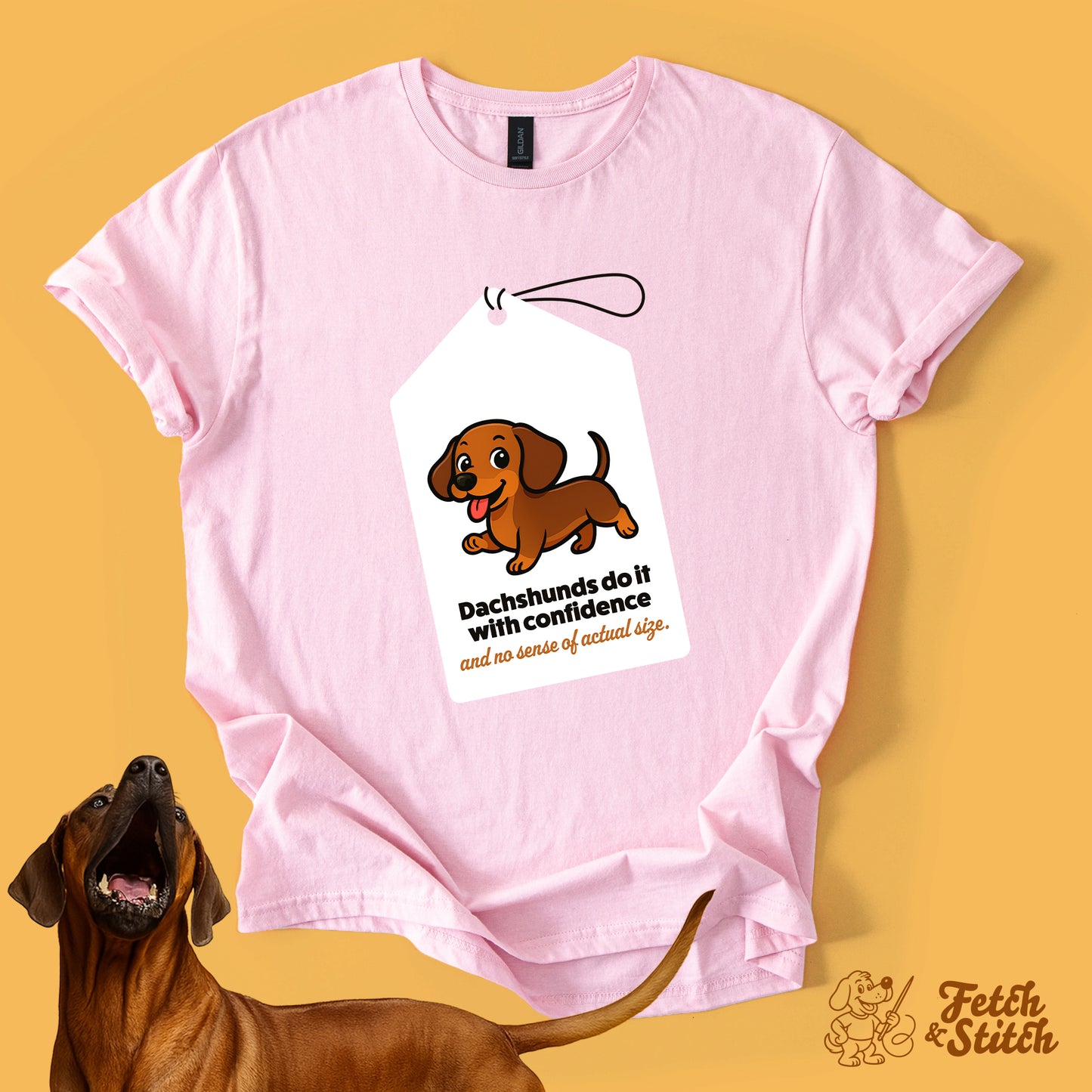 Dachshund Tag