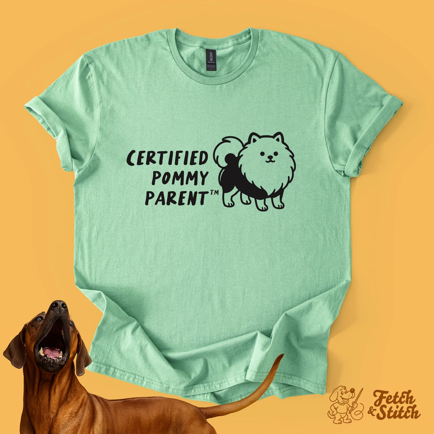Certified Pommy Parent