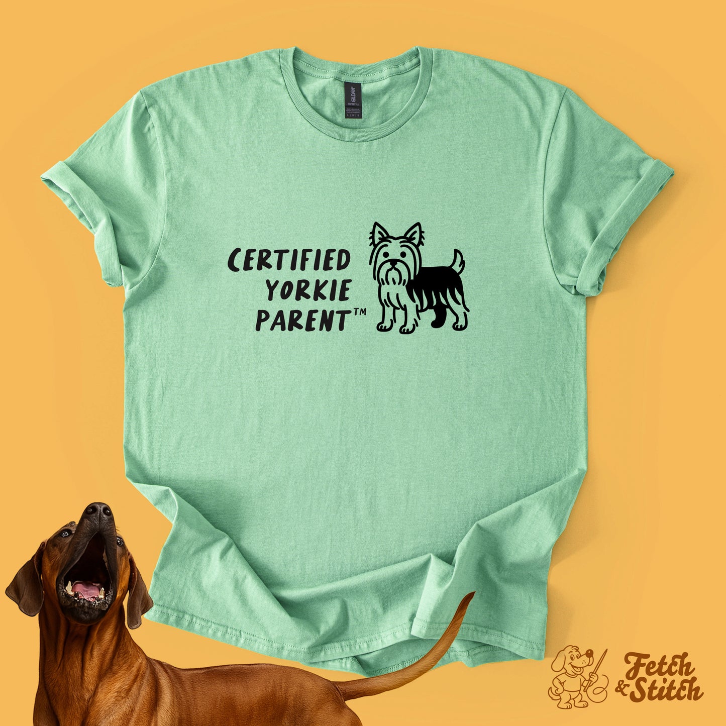 Certified Yorkie Parent