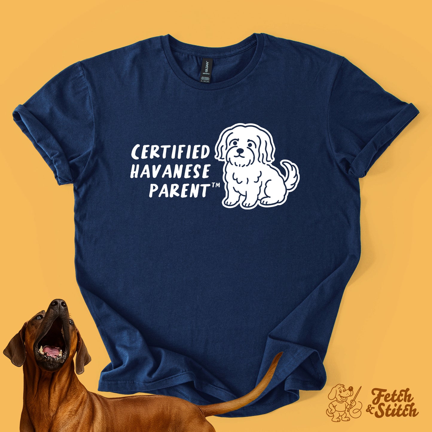 Certified Havanese Parent