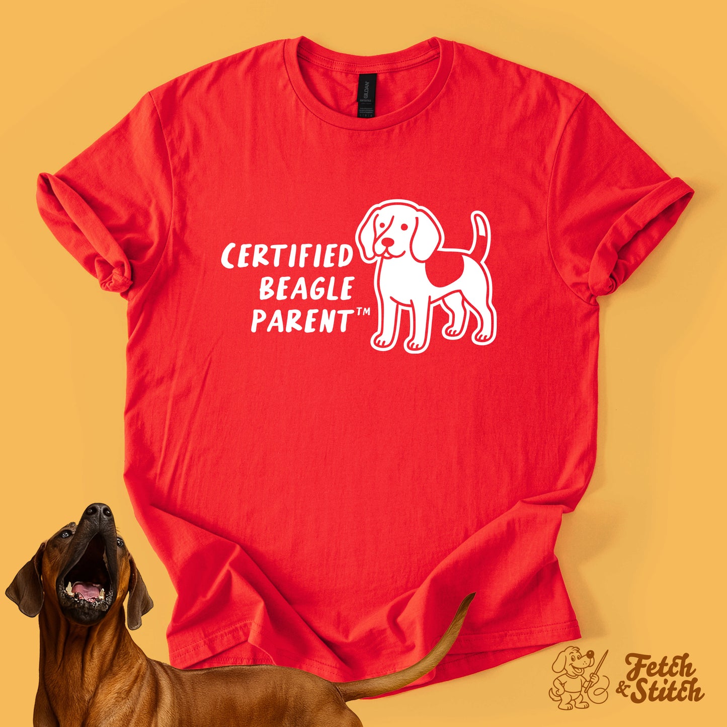 Certified Beagle Parent
