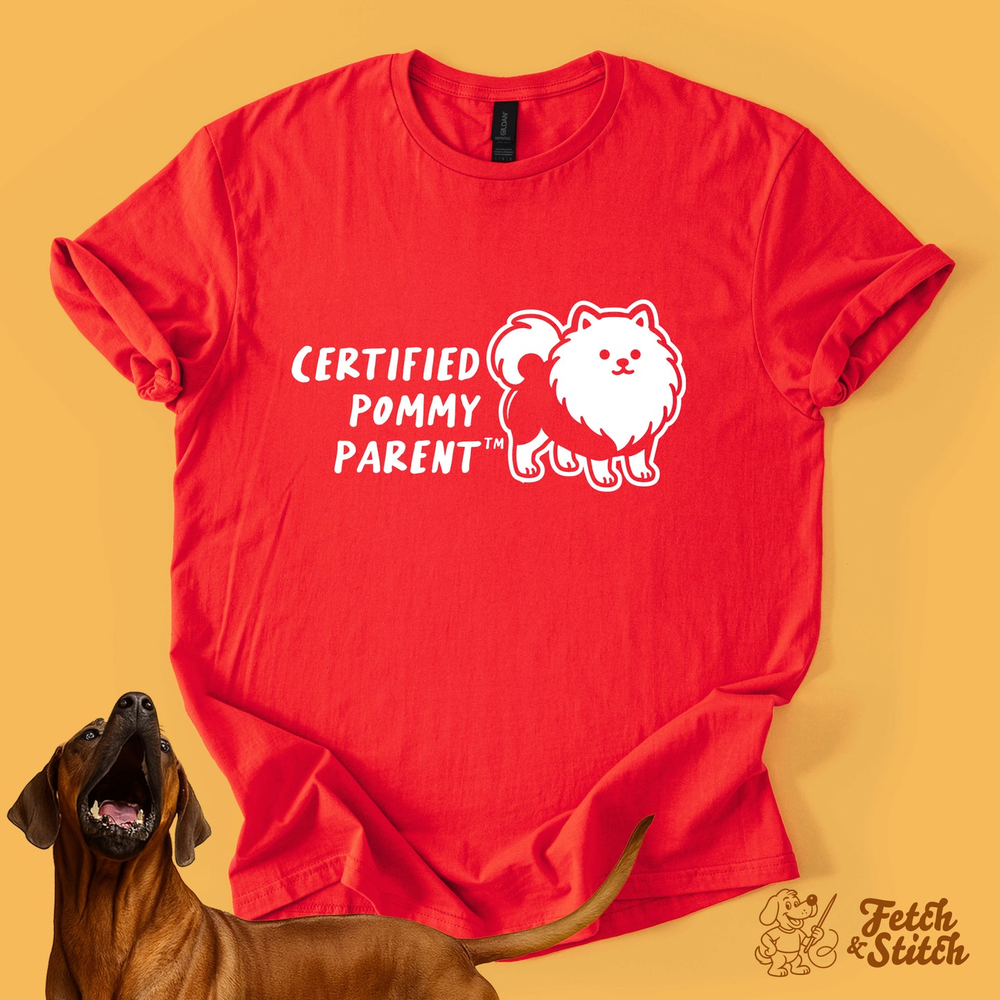 Certified Pommy Parent