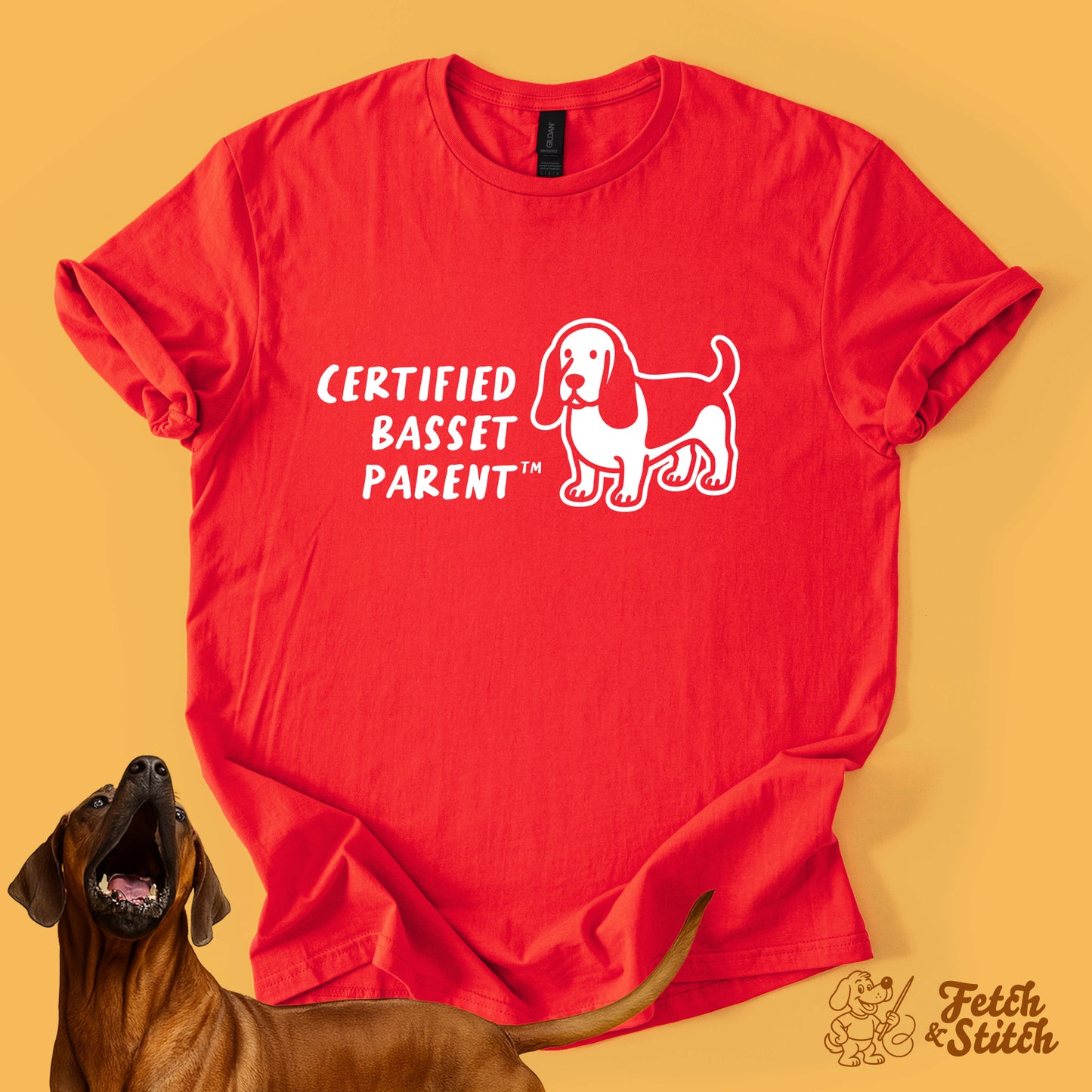 Certified Basset Parent
