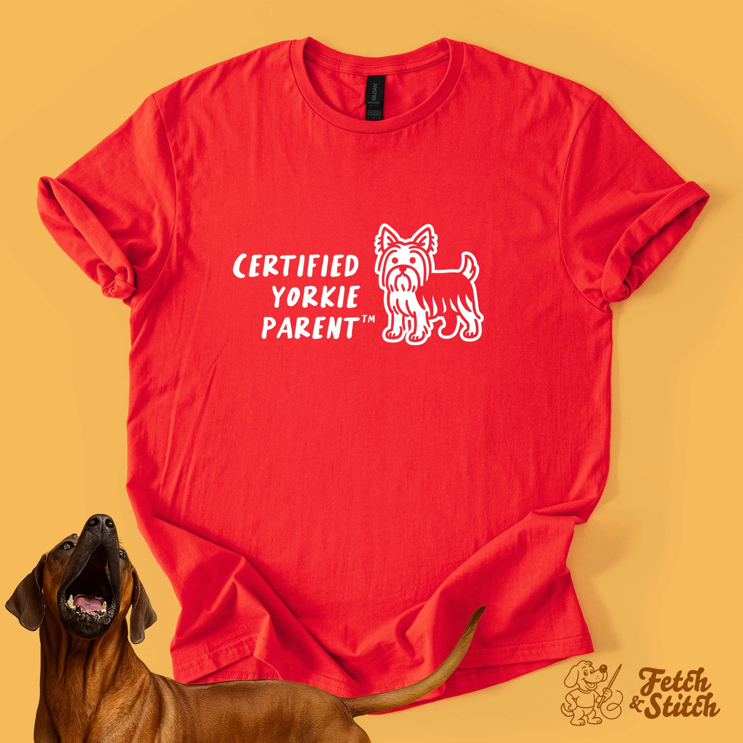 Certified Yorkie Parent