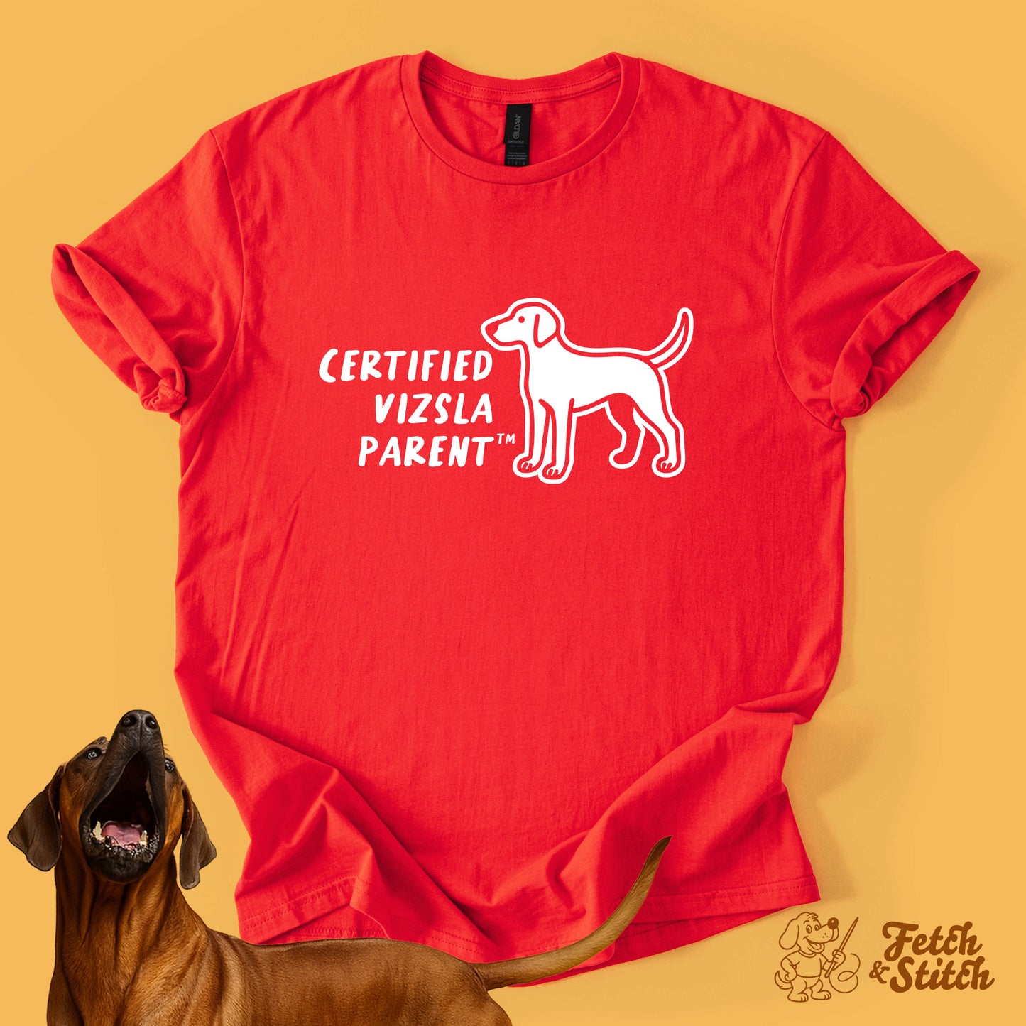 Certified Vizsla Parent