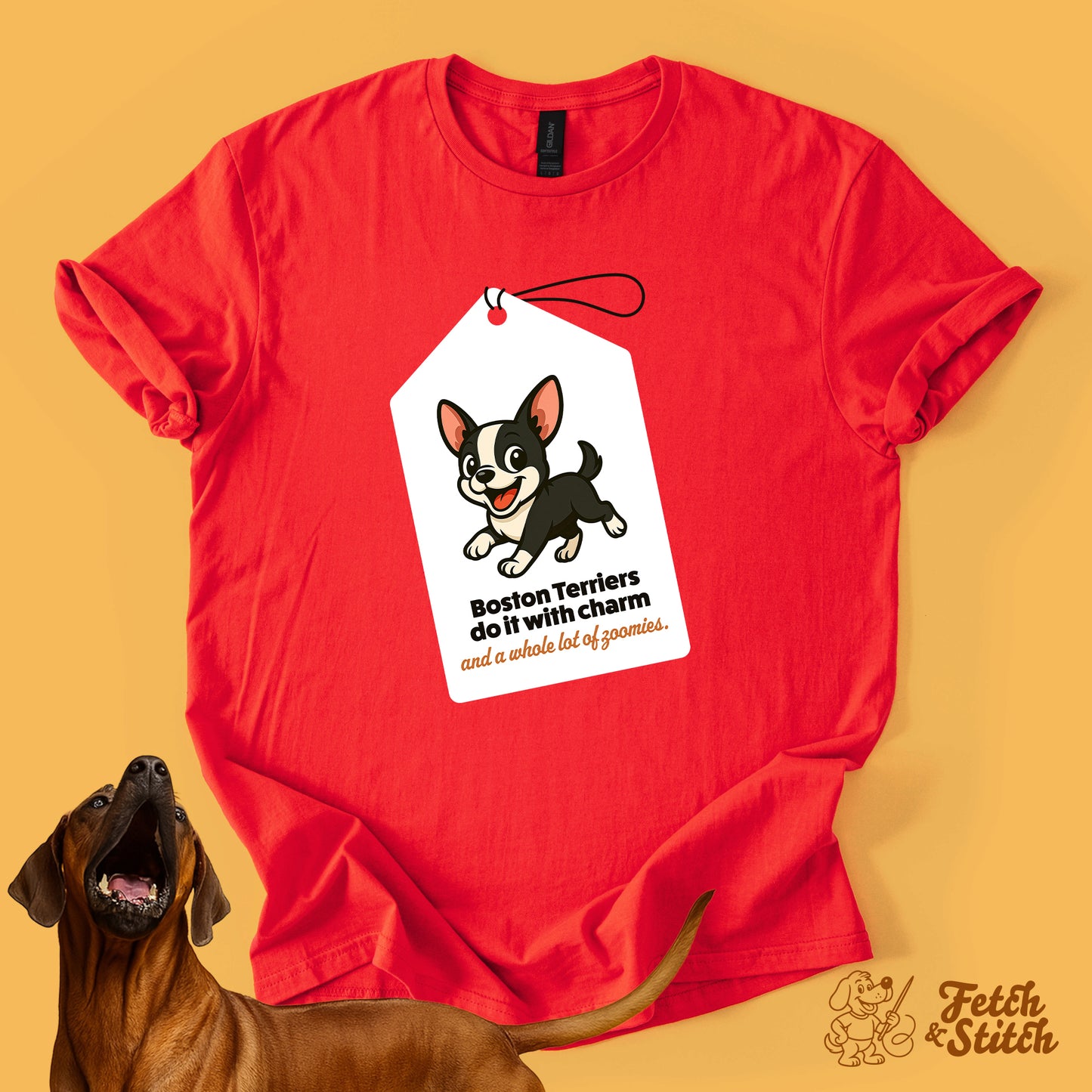 Boston Terrier Tag