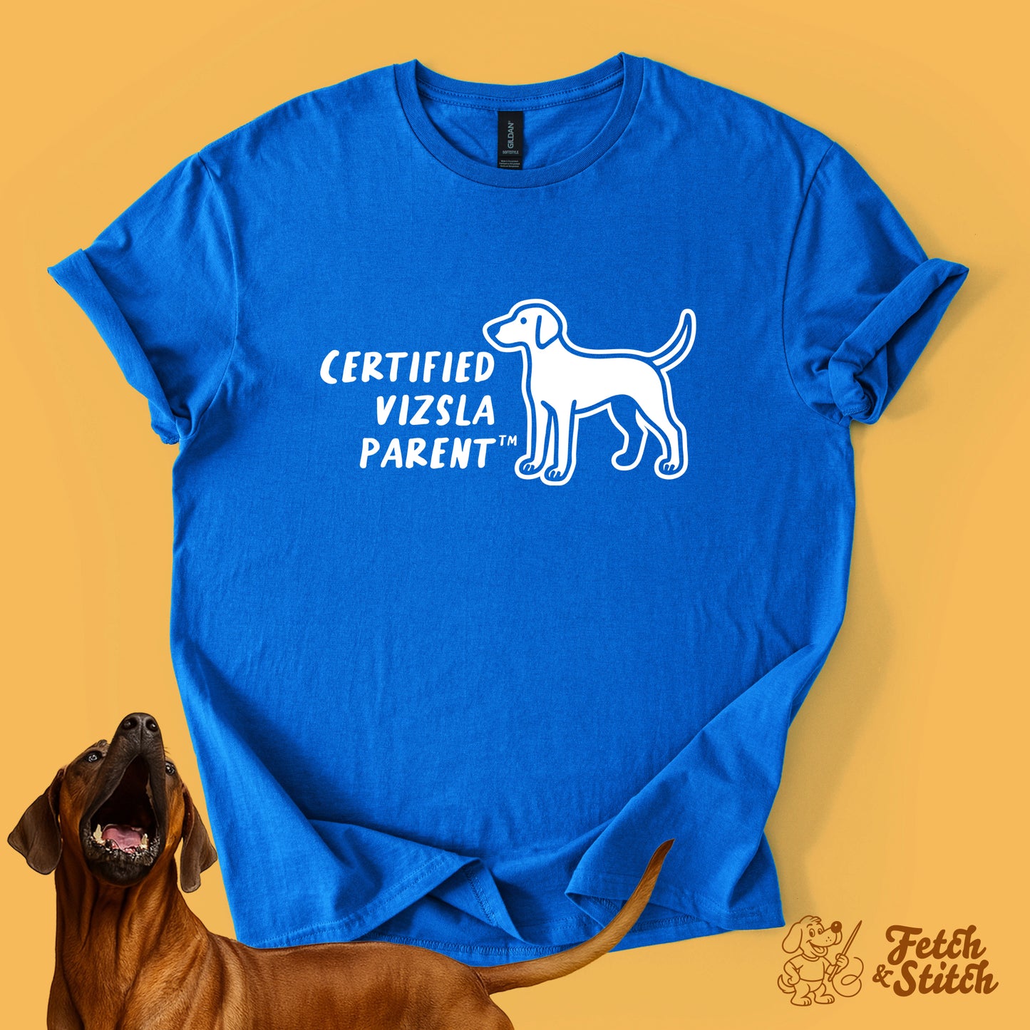 Certified Vizsla Parent