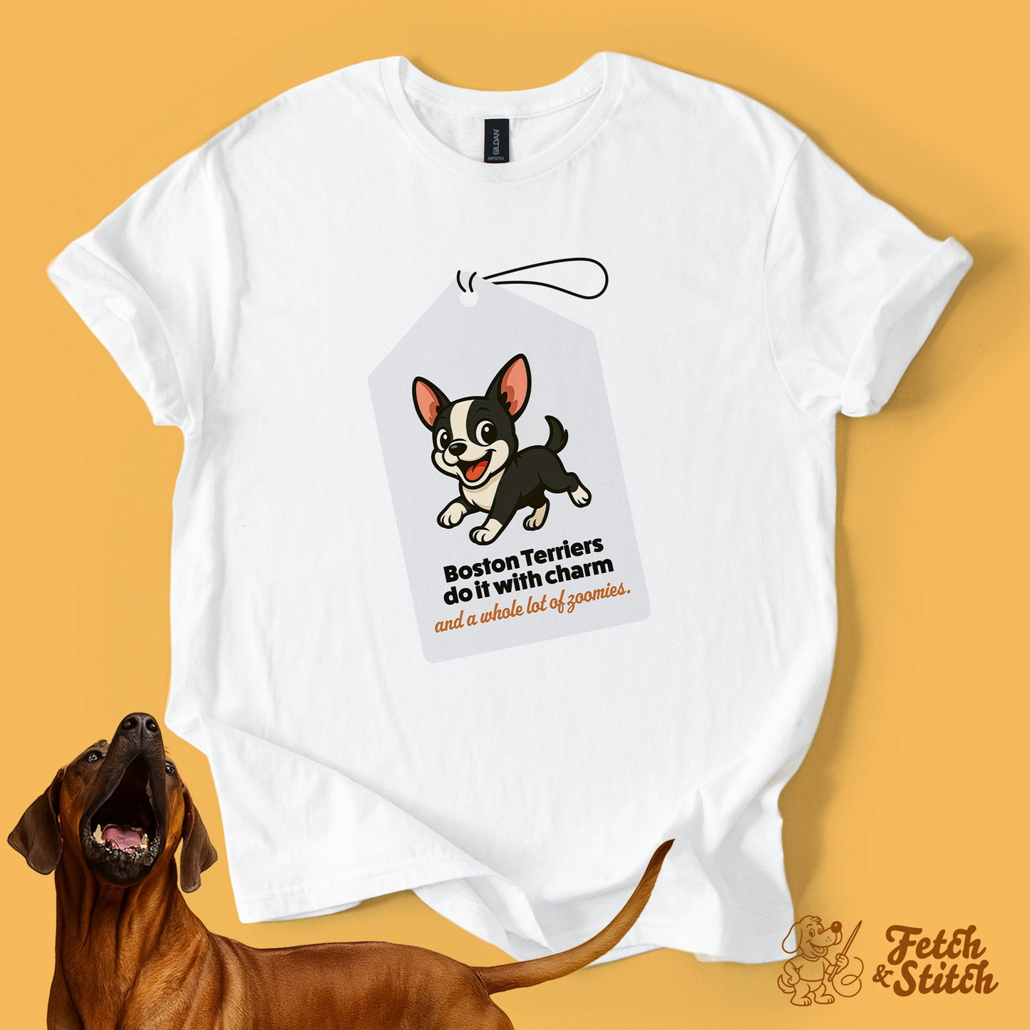 Boston Terrier Tag