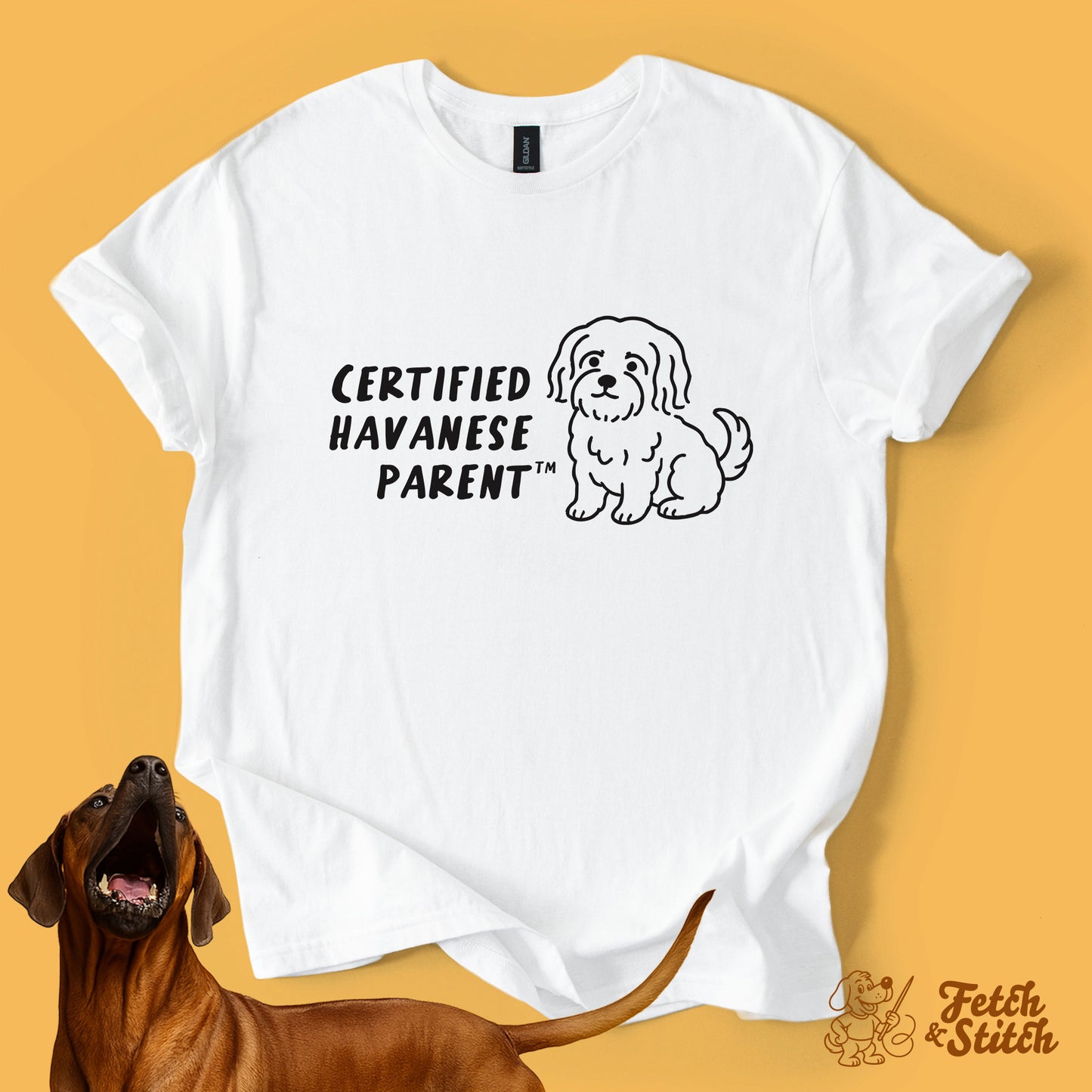 Certified Havanese Parent
